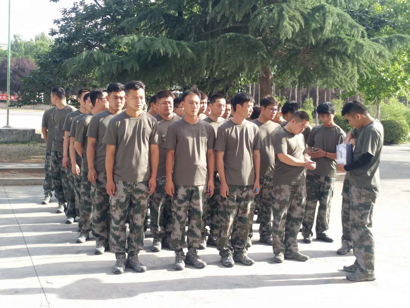 ��C����̿�S�T���ڜ��(y��ng)���M(j��n)��܊����չӖ(x��n)��