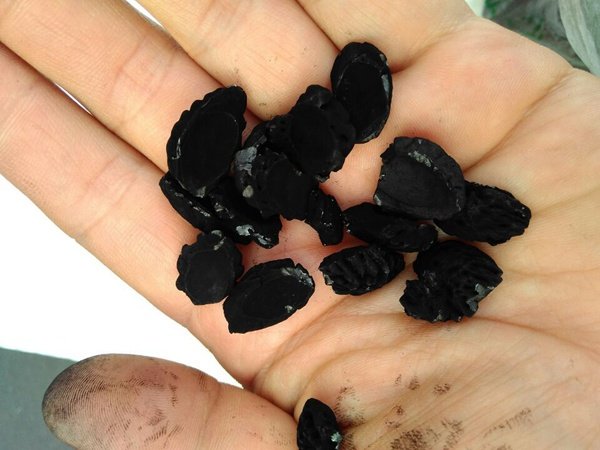 ����̿���ʹ������̼���w���x