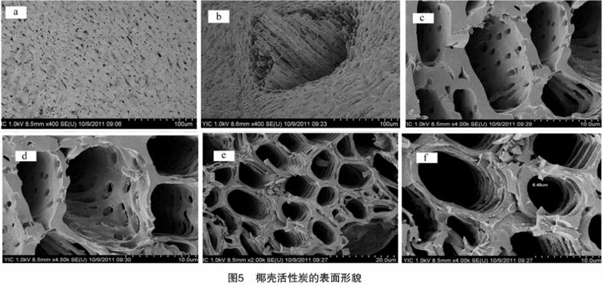 �}�����Ҭ������̿���ױ�����������